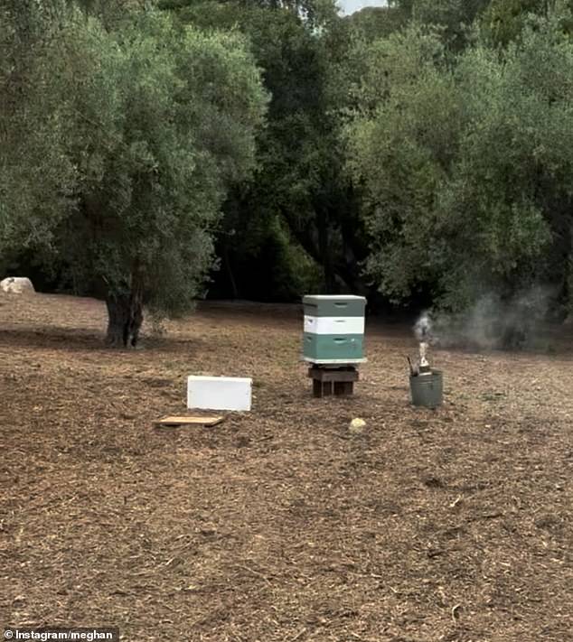 They held hands and were filmed from the back walking towards the hive, before Meghan, 43, bent down and rubbed her daughter on the back