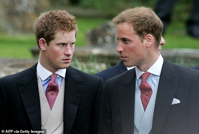 Harry and William are pictured in 2006, the year before Burrell's The Way We Were: Remembering Diana was published