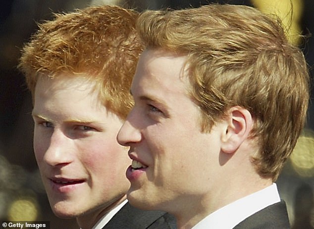 Princes William and Harry - pictured in June 2003 - accused Burrell of a 'cold and overt betrayal' after he published his memoir A Royal Duty