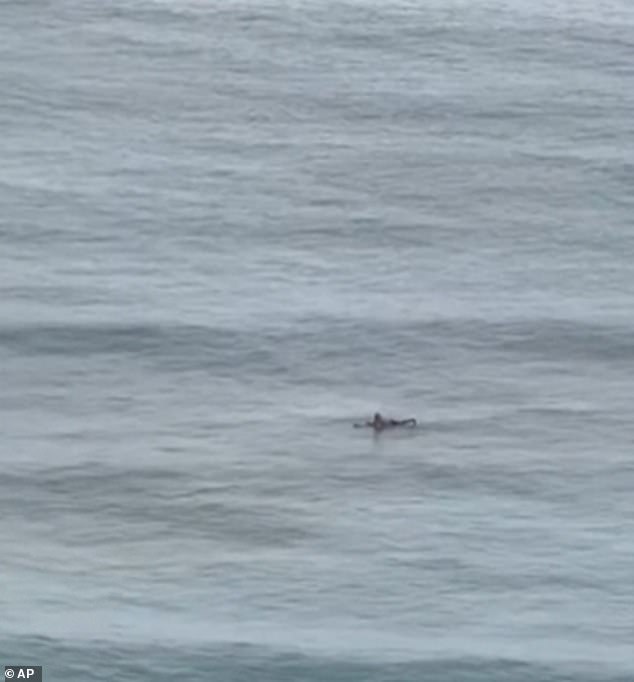 A man is seen surfing in the ocean despite the warnings for people to stay out of the water