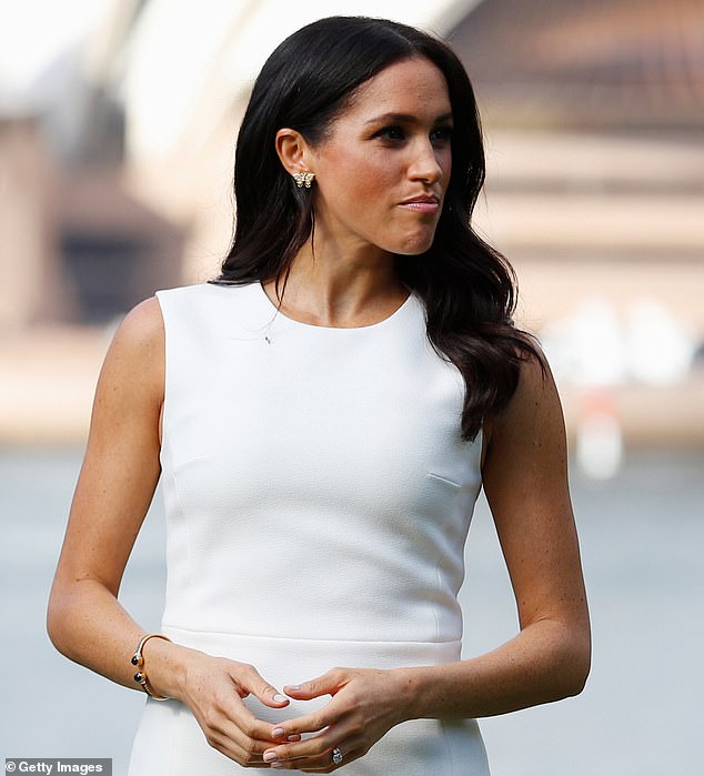 Fitzwilliams said: 'There was never any clear idea of how it would be funded or how exactly it would be beneficial to spend just 40 minutes with someone'