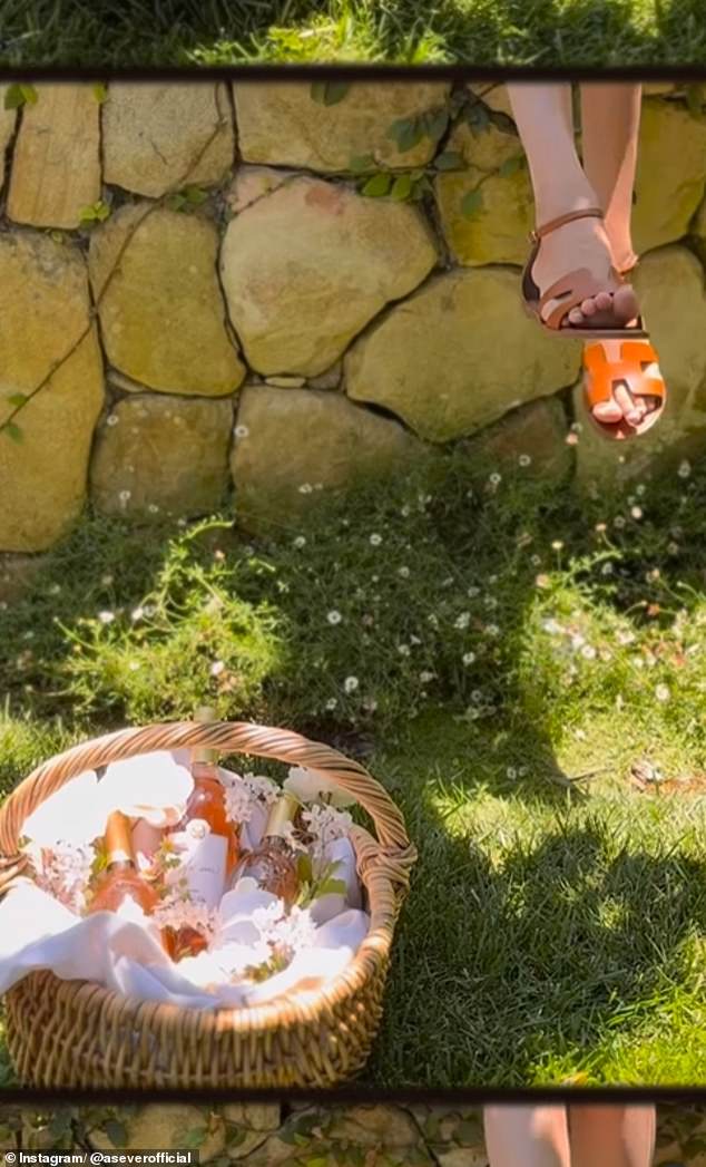 In the video, Meghan swings her Hermes-clad feet while sitting on a while, her basket filled with flowers and bottles of wine