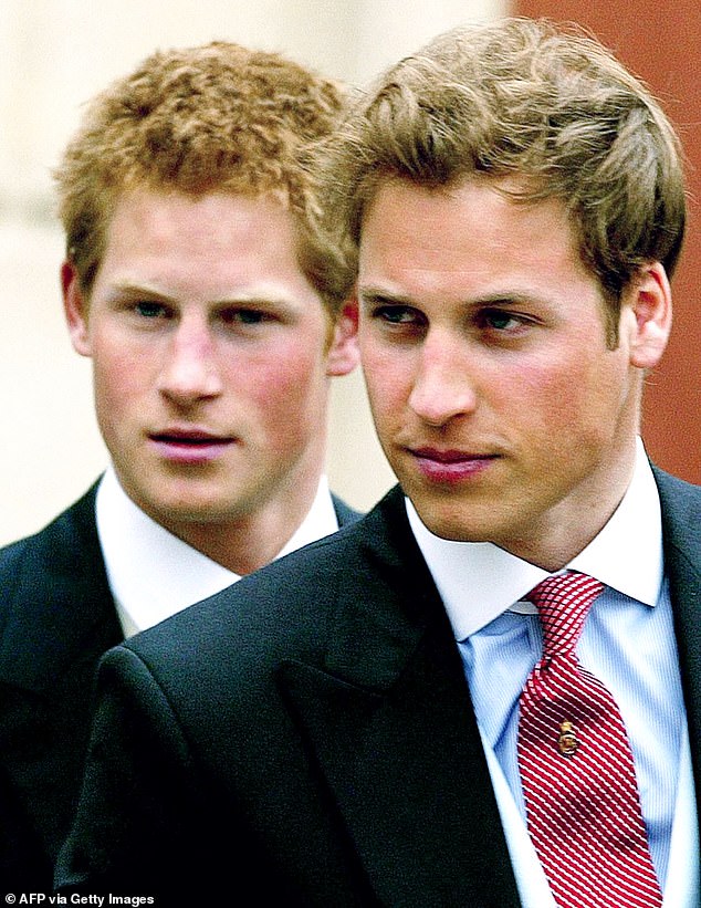 Harry and William in 2005. As of 2025, Harry and William seem a long way away from burying the hatchet
