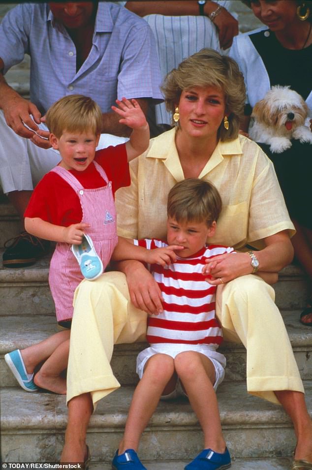 Diana, the late mother of Prince William and Prince Harry, opted for 'nursery foods' and 'comfort foods' for her young sons - and their favourite meal was one most British families could relate to