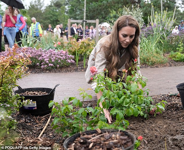 Kate had the opportunity to plant the 'Catherine Rose' herself, alongside staff who volunteer in the garden