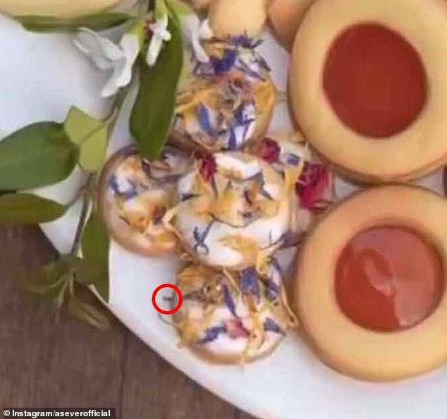 Eagle-eyed royal fans claimed to spot an 'insect' scuttling around near Meghan's shortbread cookies in a video she shared to Instagram in August