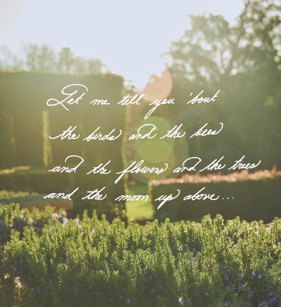 'Let me tell you 'bout the birds and the bees and the flowers and the trees and the moon above,' it penned. In the caption, she finished off the lyrics from the 1965 song by Jewel Akens, writing: '…and a little thing called love'. But followers were confused, with some admitting they struggled to make out the font. Taking to X, they confessed they were left dumbfounded by the 'update'.