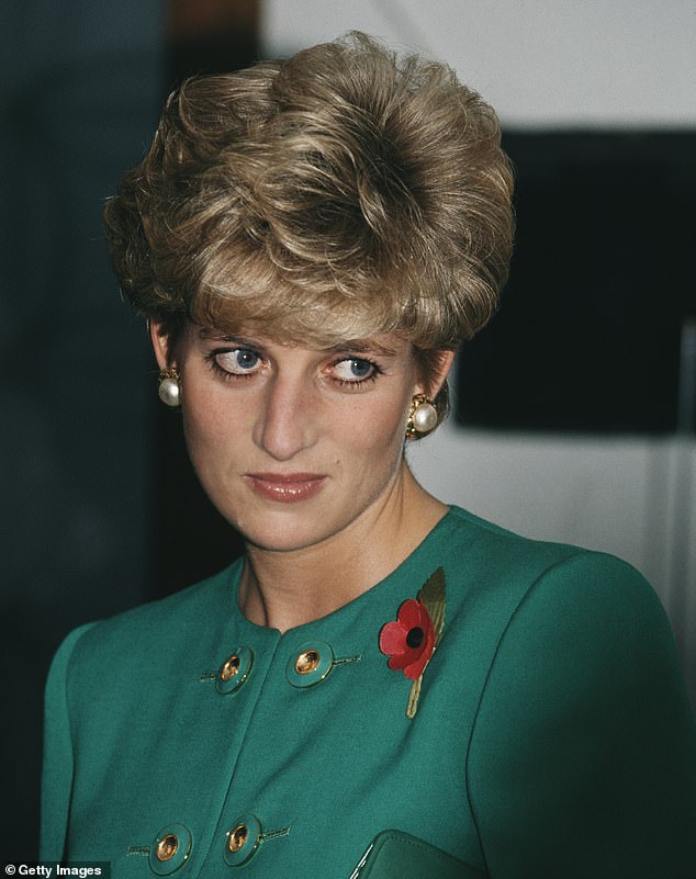 The Duke's furious broadside is an extraordinary echo of his mother Princess Diana's criticism of shadowy royal courtiers ¿ who she also derided as 'the men in grey suits' and accused of undermining her