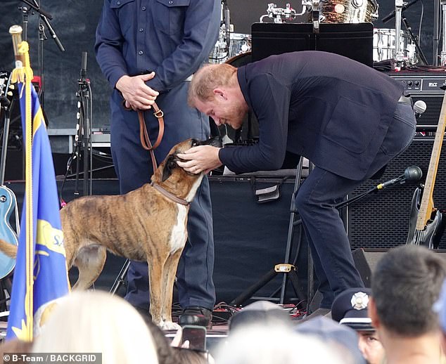 Harry was seen petting a dog as he joined first responders on the stage