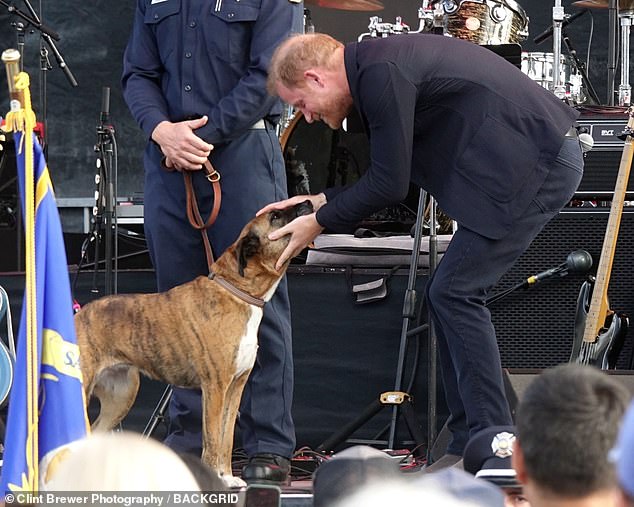 But after last week, many royal commentators agreed that Harry was back in his element, meeting the public and larking around for the cameras with children