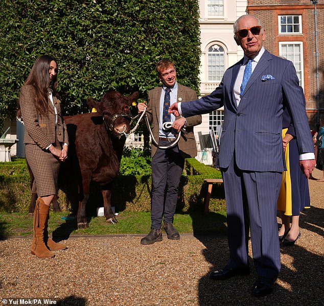 Charles beamed as he posed next to a pedigree Sussex beef cow during a reception for his charitable trust fund this afternoon