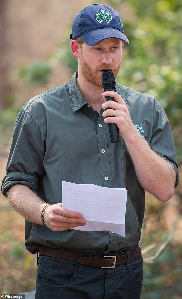 Prince Harry's African Parks has been described as having 'a whiff of neocolonialism' by Chad's environment ministry (pictured: Harry in Malawi in 2019)