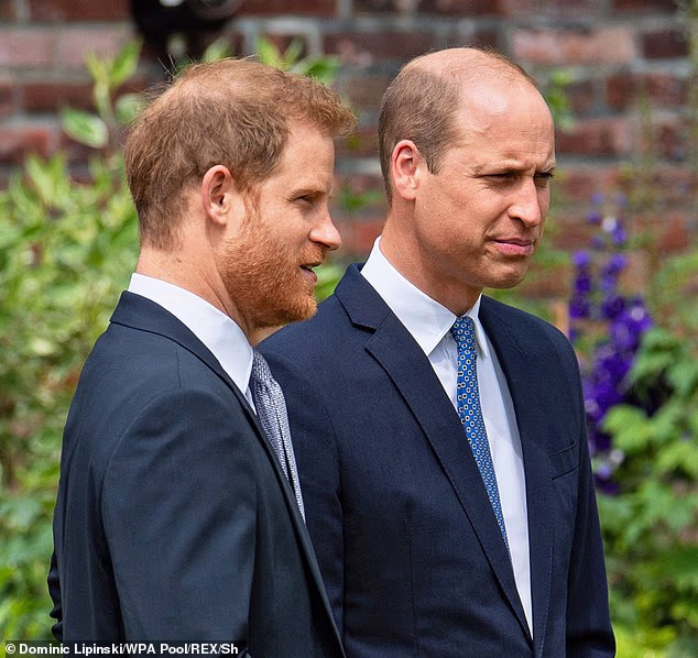 Despite expressing his initial concerns about the fast pace the relationship was moving at, Harry believed that his brother 'seemed to like Meg', while 'Kate seemed to like her too'