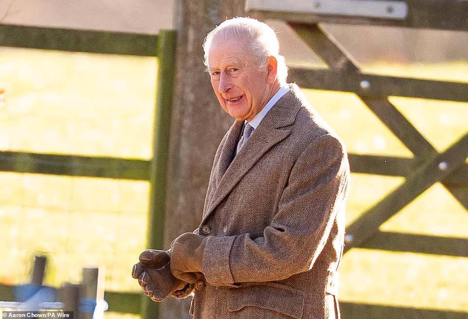 It is understood that the Met's decision was made without the involvement of either the Home Office or the Royal Family and was instead based on the highly publicised nature of the event and the fact that many children would be present. However, a stalker fixated with the Prince was reportedly twice able to pass within feet of him during his visit. Sources close to the Sussexes told The Mail on Sunday that the reinstatement of armed security has been assured after a fresh risk assessment was carried out for Ravec. They said: 'It's now a formality. Sources at the Home Office have indicated that security is now nailed on for Harry.'