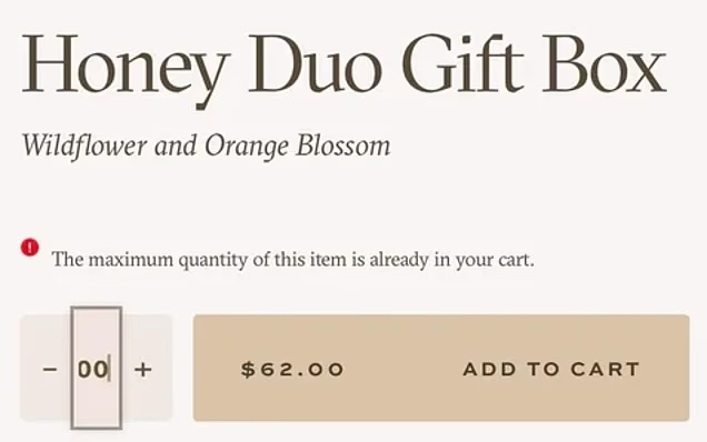 How the website looked after the bug was fixed