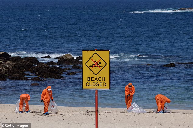 Workers in hazmat suits work to clear up toxic balls on Coogee Beach in 2024, which saw it closed