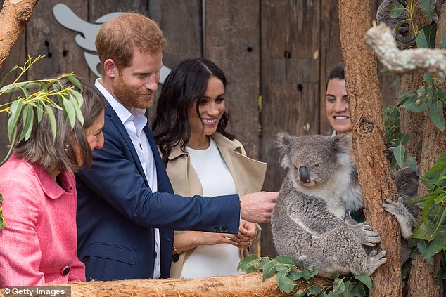 Harry and Meghan on their previous tour of Australia in 2018. While no longer working royals the Sussexes trip Down Under appears to resemble a royal tour in many ways