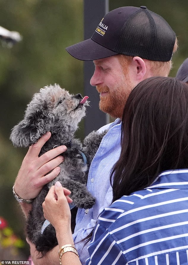 The Duke of Sussex holds a dog at the Cruising Yacht Club as his wife strokes it