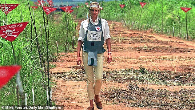 Prince Harry then operated a robot used to remove explosives from the ground during the second day of his surprise visit to the war-torn nation