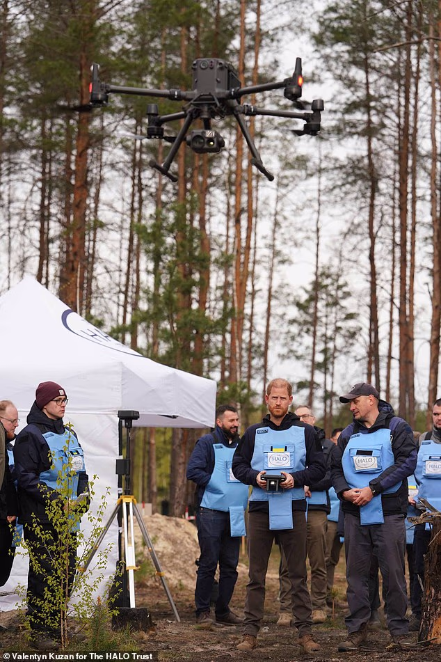 Pictured: Prince Harry takes remote control of a landmine clearance drone during his visit