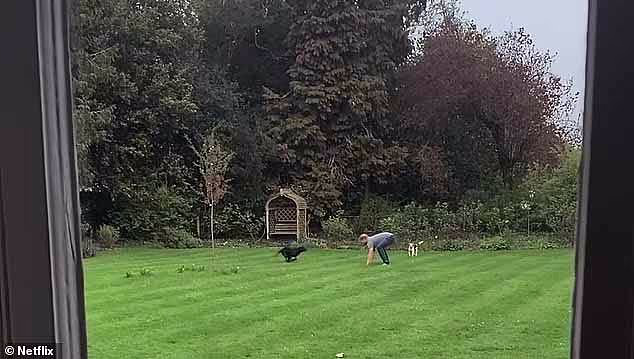 The father-of-two can be seen running around the garden at Frogmore Cottage while chasing after a dog