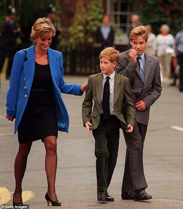 The huge sum donated by Harry, pictured as a young boy with his mother and Prince William, came from a charity established after Princess Diana's death.