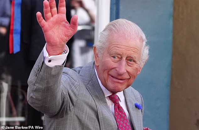 The King will undertake several private audiences and meetings which are not highlighted in the diary in advance (file image)