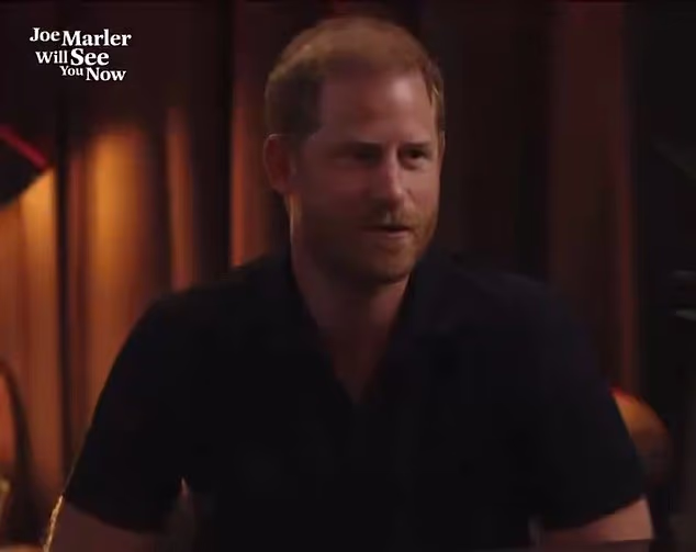 Harry has said his occupation is 'full-time dad, uh, British Army veteran, Prince of England'