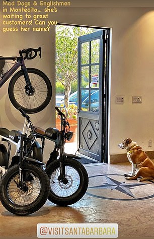 Meghan the dog greets visitors to their store in Montecito