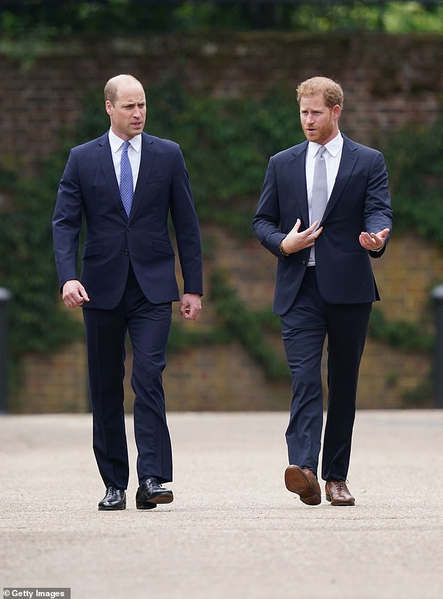 Reminiscing about his stag do, Harry writes that his brother William had planned to shave off his beard on his stag do