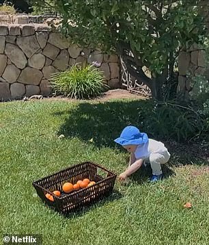 Elsewhere, the little one could also be seen placing oranges in a basket while playing outside