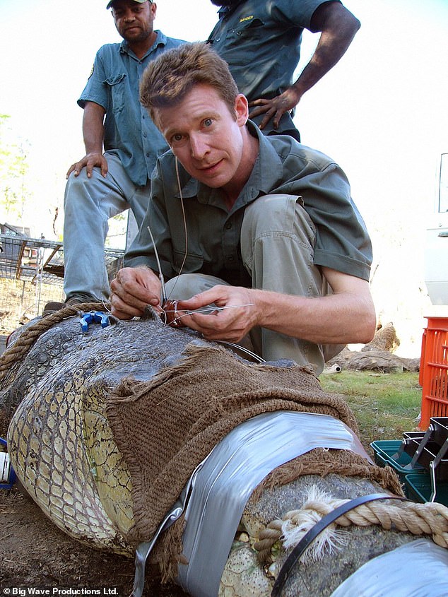 Britton is an academic at Charles Darwin University in Australia who once hosted legendary broadcaster David Attenborough, and presented on BBC programme Natural World