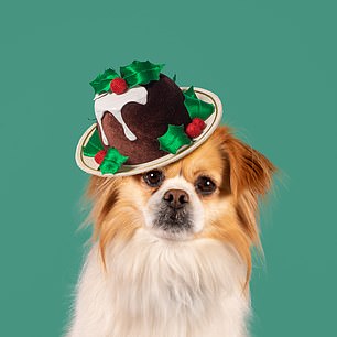 The hats follow a variety of themes, including Christmas