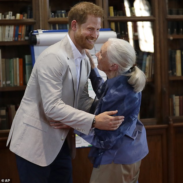 In 2019, when guest editing British Vogue, he interviewed hugely respected primatologist and conservationist Jane Goodall. Above: The pair at St George's House, Windsor Castle in 2019