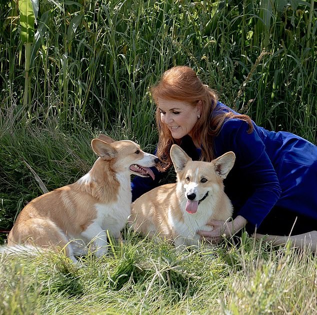 Queen Elizabeth II left her corgis to Sarah and Andrew following her death in September 2022