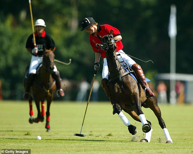 Royalty: The prestigious club hosts the annual Gold Cup, where both Prince William and Prince Harry (pictured in August 2003) have played