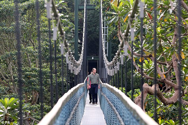 The Prince of Wales and Lawrence Wong cross the free-standing suspension bridge today