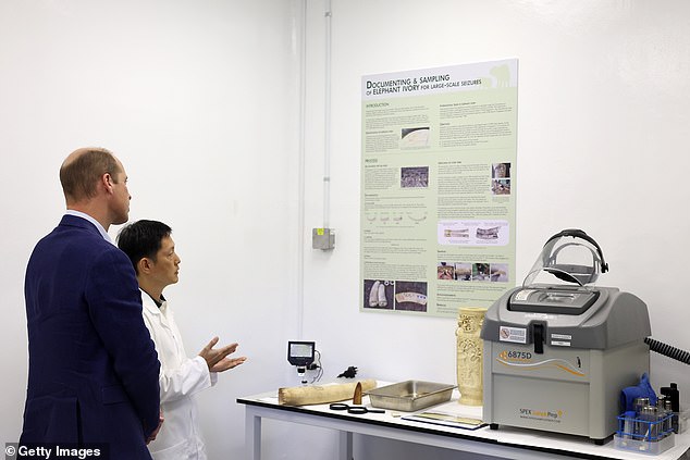 Prince William inspects seized items at the Centre for Wildlife Forensics in Singapore today