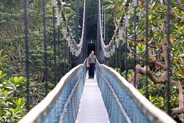 The Prince of Wales and Lawrence Wong cross the free-standing suspension bridge today