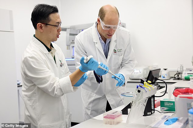 Prince William wears a lab coat and uses forensic equipment as he performs DNA sequencing tests with staff at the Centre for Wildlife Forensics at Lim Chu Kang in Singapore today