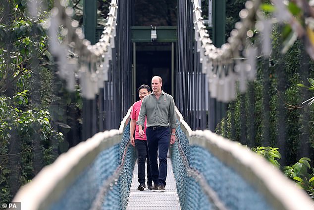 Pictured: William and Singapore's Deputy Prime Minister Lawrence Wong during a TreeTop Walk at Central Catchment Nature Reserve earlier this week