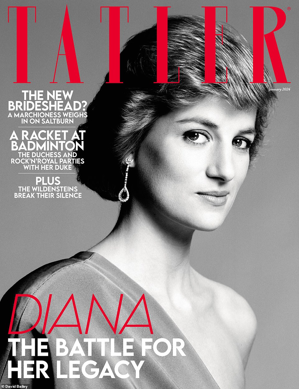 He writes: 'It got worse and worse as it got closer to today. In fact, they were all awful. It is just that people found portrayals of the 1950s less offensive than the saga they remembered ¿ Prince Charles, Diana, Camilla etc. I can only imagine how distressing it will have been for the young members of the Royal Family to see the drama surrounding Diana's fatal car accident the central feature in Series 6, not to mention her reported reappearance as a ghost. How low can the producers stoop?' The portrait of Diana is thought to come from a shoot David, 85, did with the late Princess of Wales in the 80s.