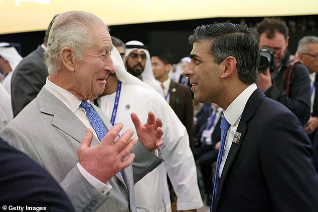 After the book went on sale in The Netherlands naming the two royals, the edition was quickly withdrawn and around 5,000 copies were pulped. Pictured: King Charles with Rishi Sunak in Dubai for COP28 today