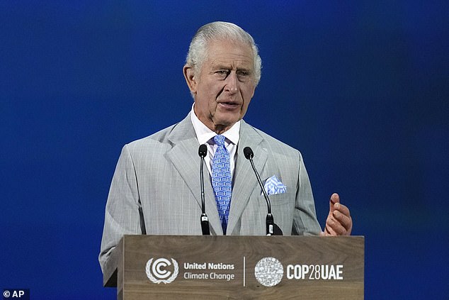 Buckingham Palace officials are set to meet with aides of Prince William this week. Pictured: King Charles at the COP28 sumit in Dubai on Friday