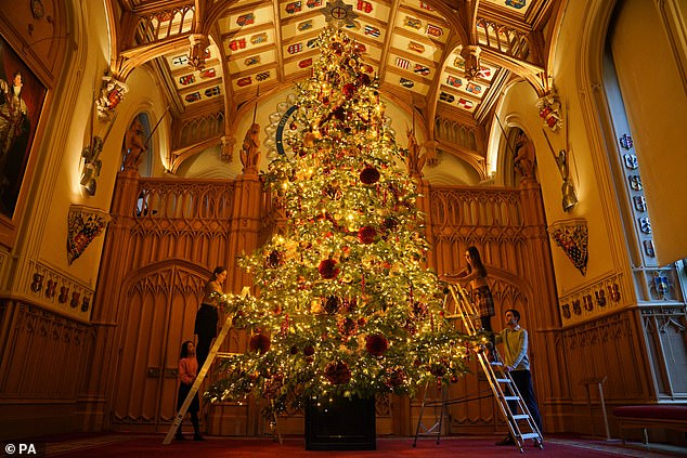 Pictured: Royal Collection Trust staff adding the finishing touches to a Christmas tree in Windsor Castle