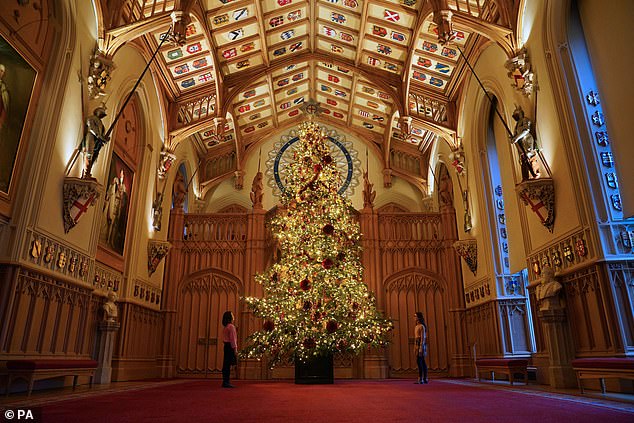 A huge, ornate, Christmas tree towers over St George's Hall in Windsor Castle today as the festive spirit kicks in