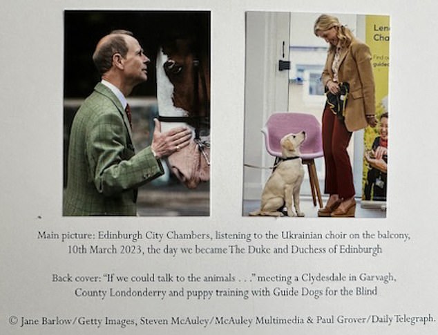 Prince Edward, 59, is shown meeting a Clydesdale horse while Sophie, 58, is seen taking part in a puppy class at the Guide Dogs for the Blind Association Training Centre in Reading