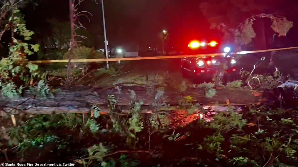 Also rescued were two homeless people who spent the night on a small island in the Santa Ana River in San Bernardino, about 55 miles (88.51 kilometers) east of Los Angeles, authorities said. The Los Angeles Fire Department said 1,000 firefighters were contending with 49 debris flows, 130 reports of flooding, half a dozen structure fires and several rescues of motorists stranded in vehicles. Los Angeles Mayor Karen Bass urged residents to avoid driving, warning of fallen trees and electrical lines on flooded roadways. The weather service predicts up to 8 inches of rainfall across Southern California's coastal and valley areas, with 14 inches possible in the foothills and mountains over the next two days.