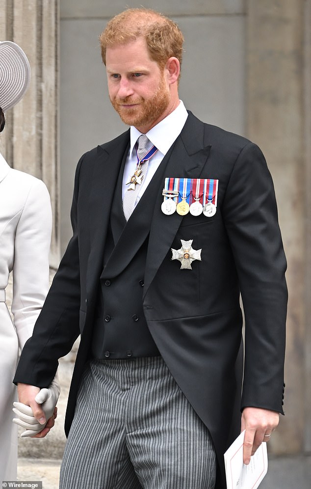 The Duke of Sussex (pictured in 2022) is said to have not wanted to be in the same room as the Queen when speaking to his cancer-stricken father King Charles III