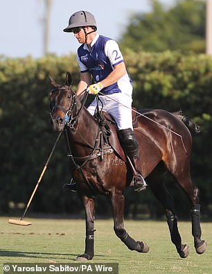 Harry's new Netflix polo show will allow him to give an inside look at the world of the international sport that he has loved for so long